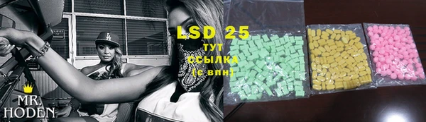 тгк Абаза