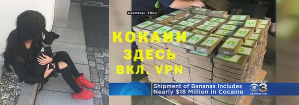 тгк Абаза