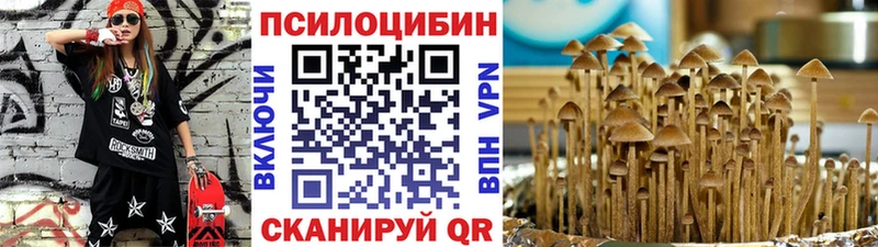 Галлюциногенные грибы MAGIC MUSHROOMS  наркошоп  Моршанск 