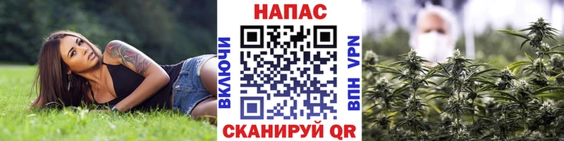 купить наркотик  Моршанск  Бошки марихуана семена 